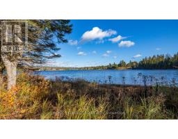 Bedroom 2 - 21 Dave Bowers Lane, South Algonquin, ON K0J2M0 Photo 5