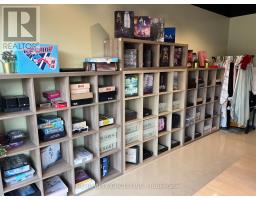 10 875 Main Street W, Hamilton, ON L8S4P9 Photo 4