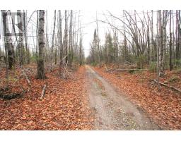 Lt 3 Ramblewood Trail, Kawartha Lakes, ON K0M2B0 Photo 3