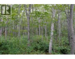 5716 Rte 495, Saintfabien, NB E4S2T2 Photo 5