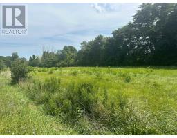 Pt Lt 3 Lakeshore Road, Norfolk, ON N0E1M0 Photo 5