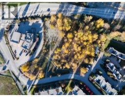 1443 Vine Road, Pemberton, BC V0N2L1 Photo 2