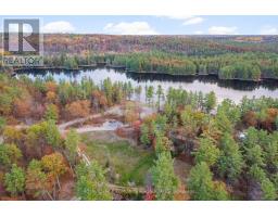 Lt 12 Voyageur Bay Trail, Whitewater Region, ON K0J1V0 Photo 4