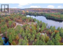 Lt 12 Voyageur Bay Trail, Whitewater Region, ON K0J1V0 Photo 5