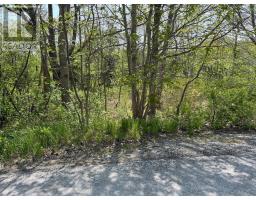 31 Franks Lane, Bridgewater, NS B4V2R8 Photo 2