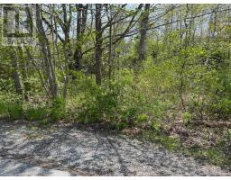 31 Franks Lane, Bridgewater, NS B4V2R8 Photo 3