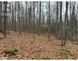 Lot 3 Hill And Gully Road, Ryerson, ON P0A1C0 Photo 4