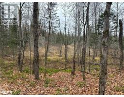 Lot 3 Hill And Gully Road, Ryerson, ON P0A1C0 Photo 5