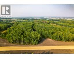 Sw 1 4 Sec 21 42 1 5 Lot 27, Rural Ponoka County, AB T0C2J0 Photo 4