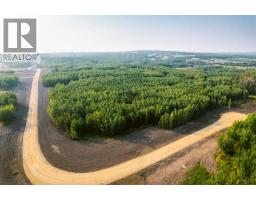Sw 1 4 Sec 21 42 1 5 Lot 26, Rural Ponoka County, AB T0C2J0 Photo 4