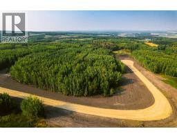 Sw 1 4 Sec 21 42 1 5 Lot 26, Rural Ponoka County, AB T0C2J0 Photo 5