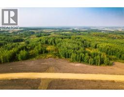 Sw 1 4 Sec 21 42 1 5 Lot 28, Rural Ponoka County, AB T0C2J0 Photo 3