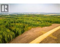 Sw 1 4 Sec 21 42 1 5 Lot 28, Rural Ponoka County, AB T0C2J0 Photo 4