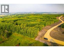 Sw 1 4 Sec 21 42 1 5 Lot 29, Rural Ponoka County, AB T0C2J0 Photo 4