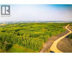 Sw 1 4 Sec 21 42 1 5 Lot 29, Rural Ponoka County, AB T0C2J0 Photo 3