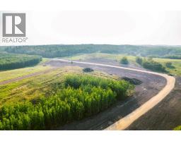 Sw 1 4 Sec 21 42 1 5 Lot 2, Rural Ponoka County, AB T0C2J0 Photo 3