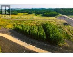Sw 1 4 Sec 21 42 1 5 Lot 2, Rural Ponoka County, AB T0C2J0 Photo 4