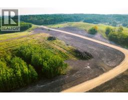 Sw 1 4 Sec 21 42 1 5 Lot 1, Rural Ponoka County, AB T0C2J0 Photo 5