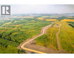 Sw 1 4 Sec 21 42 1 5 Lot 1, Rural Ponoka County, AB T0C2J0 Photo 3