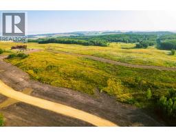 Sw 1 4 Sec 21 42 1 5 Lot 3, Rural Ponoka County, AB T0C2J0 Photo 5