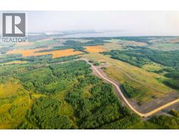 Sw 1 4 Sec 21 42 1 5 Lot 3, Rural Ponoka County, AB T0C2J0 Photo 4