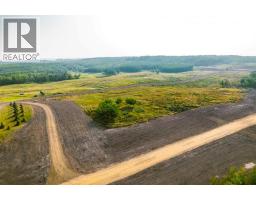 Sw 1 4 Sec 21 42 1 5 Lot 4, Rural Ponoka County, AB T0C2J0 Photo 4