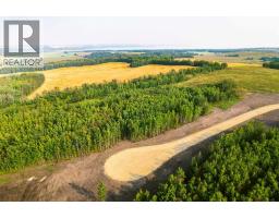 Sw 1 4 Sec 21 42 1 5 Lot 8, Rural Ponoka County, AB T0C2J0 Photo 4