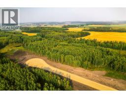 Sw 1 4 Sec 21 42 1 5 Lot 8, Rural Ponoka County, AB T0C2J0 Photo 3