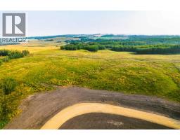 Sw 1 4 Sec 21 42 1 5 Lot 6, Rural Ponoka County, AB T0C2J0 Photo 4