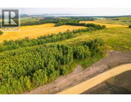 Sw 1 4 Sec 21 42 1 5 Lot 7, Rural Ponoka County, AB T0C2J0 Photo 5