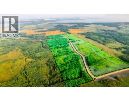 Sw 1 4 Sec 21 42 1 5 Lot 7, Rural Ponoka County, AB T0C2J0 Photo 2