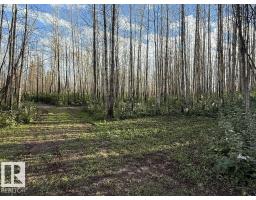 1 Twp 630 Rr 262, Rural Westlock County, AB T0G0S0 Photo 3