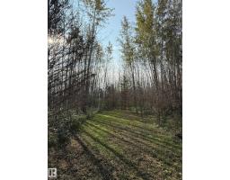 1 Twp 630 Rr 262, Rural Westlock County, AB T0G0S0 Photo 2