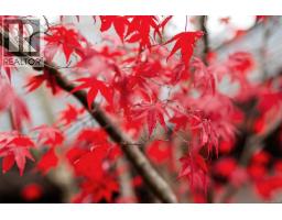 Storage - 647 Tamarack Dr, Qualicum Beach, BC V9K1A8 Photo 3