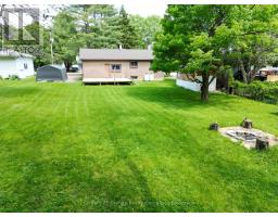 Kitchen - 37 Mckay Street, Minden Hills, ON K0M2K0 Photo 3