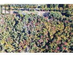 Pt Lt 3 Hilton Rd, St Joseph Island, ON P0R1G0 Photo 4