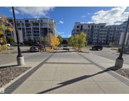 Kitchen - 736 200 Bellerose Dr, St Albert, AB T8N7P7 Photo 2