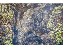 Kitchen - 7257 Soper Road, Clarington, ON L0A1E0 Photo 3