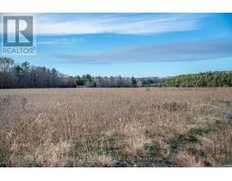 4856 Cold Springs Camp Road, Clarington, ON L0A1B0 Photo 5