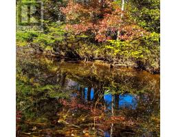 Lot 22 1 Stewiacke Road, South Branch, NS B0N2P0 Photo 4