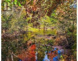 Lot 22 1 Stewiacke Road, South Branch, NS B0N2P0 Photo 2