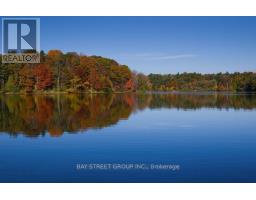 167 Seguin Street, Richmond Hill, ON L4E2Y9 Photo 4