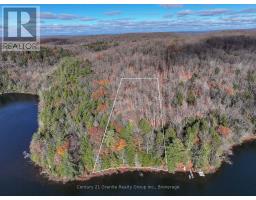 0 Tedious Lake Wao, Dysart Et Al, ON K0M1S0 Photo 3