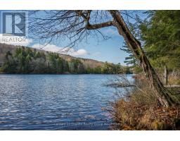 0 Tedious Lake Wao, Dysart Et Al, ON K0M1S0 Photo 4