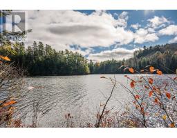 0 Tedious Lake Wao, Dysart Et Al, ON K0M1S0 Photo 5