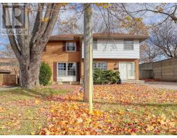 Kitchen - 38 A 38 B Adare Crescent, London South, ON N6C2S7 Photo 4