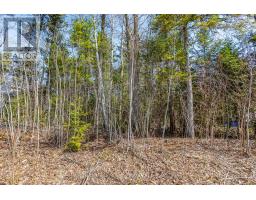 Lot 102 Emilio Street, Tiny, ON L0L2T0 Photo 3