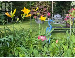 Living room - 1039 Grace River Road, Highlands East, ON K0L3C0 Photo 4