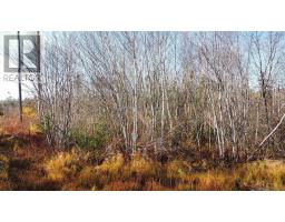 Lot No 3 Highway, Lydgate, NS B0T1L0 Photo 5