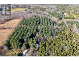 9328 Wellington 50 Road, Erin, ON N0B1T0 Photo 5